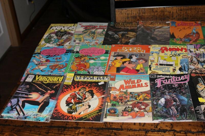 Medium Priority Mail Box Full of INDY / Independent Comics Bulk Mixed