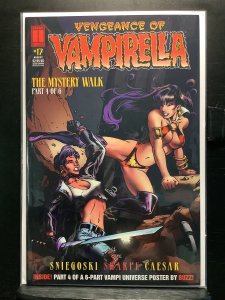 Vengeance of Vampirella #17 Chris Berkeley Cover (1995)