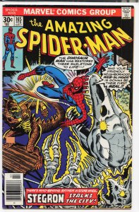 The Amazing Spider-Man #165 (1977) Spider-Man