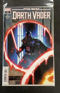 Star Wars: Darth Vader #43 (2024)