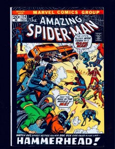 The Amazing Spider-Man #114. - Origin of Hammerhead. VF/NM