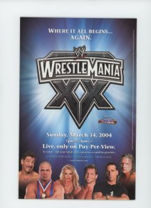 Superman / Batman #8 - Signed by Michael Turner & Peter Steigerwald (9.2) 2004