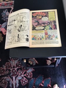 Superboy #116 (1964) King of the Wolfpack! Mid grade! VG/FN  Wow!