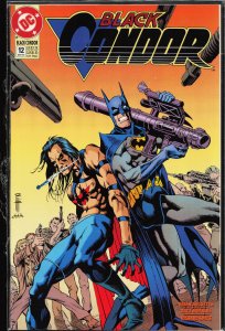 Black Condor #12 (1993) Black Condor