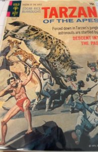 Edgar Rice Burroughs' Tarzan #202 (1971)