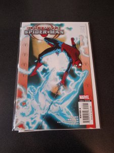 Ultimate Spider-Man #114 (2007)