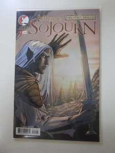 Forgotten Realms: Sojourn #1 Cover A - Tim Seeley (2006)