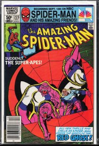 The Amazing Spider-Man #223 (1981) Spider-Man