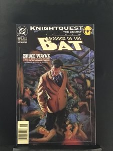 Batman: Shadow of the Bat #22 (1993) Bruce Wayne