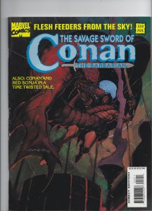 The Savage Sword of Conan #223 (1994)