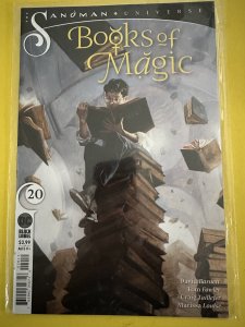 Books of Magic #20 (2020) NM