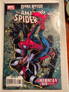 The Amazing Spider-Man #596 (2009)
