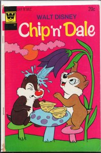 Walt Disney Chip 'n' Dale #23 Whitman Variant (1973) Chip 'n' Dale