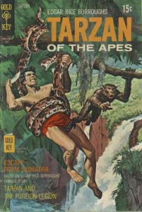 Tarzan (Gold Key) #193 FN ; Gold Key | July 1970 Of The Apes