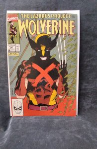 Wolverine #29 (1990)