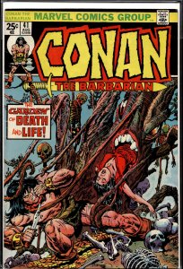 Conan the Barbarian #41 (1974) Conan