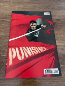 Punisher # 2 NM 1st Print Variant Cover Marvel Comic Book 15 J280