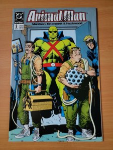 Animal Man #9 ~ NEAR MINT NM ~ 1989 DC Comics
