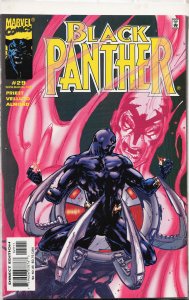 Black Panther #29 (2001) Black Panther