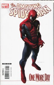 The Sensational Spider-Man #41 White Cover (2007)
