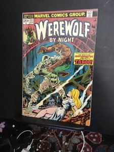 Werewolf by Night #13 (1974) mid high grade 1st Taboo! FN/VF Wow!