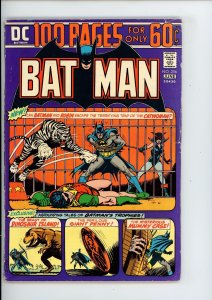 Batman #256 (1974) DC Comics
