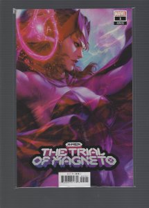 X-Men: The Trial of Magneto #1 Variant