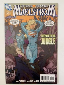 Superman/Supergirl: Maelstrom #2 (2009)