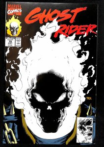 Ghost Rider #15 (1991)