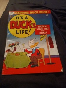 It's A Duck's Life  #8 1951 Atlas Funny Animal comic golden age precode Ed win-