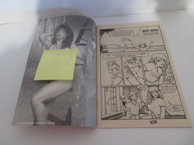 Roxy Rider Nude Variant (2025)Adult Comic Book Carnal Comics Grade VF- 7.5