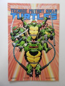 Teenage Mutant Ninja Turtles #24 (1989) VF Condition!