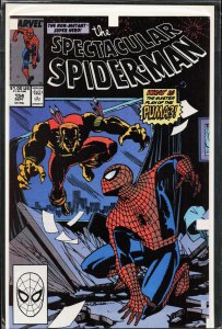 The Spectacular Spider-Man #154 (1989) Spider-Man
