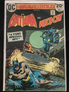 The Brave and the Bold #110 (1974)