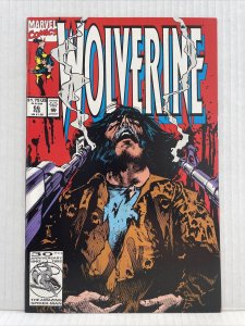 Wolverine #66
