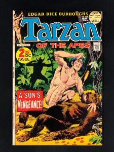 Edgar Rice Burroughs Tarzan #208 (1972) VF+ 2nd DC Issue! Joe Kubert Art