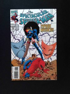 Spectacular Spider-Man #213  MARVEL Comics 1994 NM-