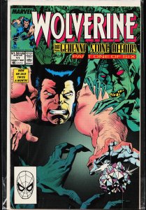 Wolverine #11 (1989) Wolverine