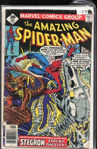 The Amazing Spider-Man #165 (1977) Spider-Man