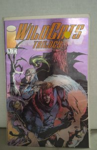 WildC.A.T.S Trilogy #1 Direct Edition (1993). P25