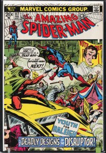 The Amazing Spider-Man #117 (1973) Spider-Man
