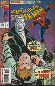 The Spectacular Spider-Man #205 Direct Edition (1993) - NM