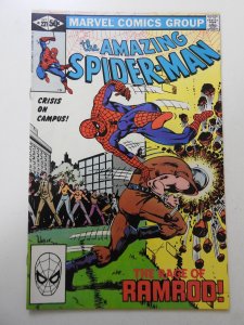The Amazing Spider-Man #221 (1981) FN/VF Condition!