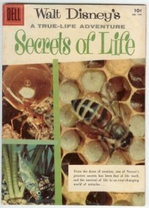 SECRETS OF LIFE (1956 DELL) F.C. 749 VG PHOTO COVER COMICS BOOK