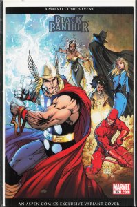 Black Panther #25 Variant Cover (2007) Black Panther