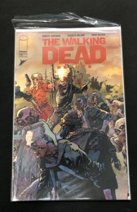 The Walking Dead Deluxe #28 Cover C (2021)