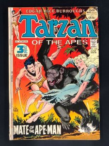 Edgar Rice Burroughs' Tarzan #209 (1972)