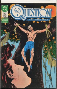 The Question #9 (1987) The Question