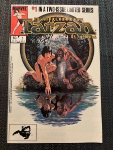 Tarzan of the Apes #1 Direct Edition (1984)