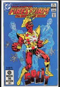 The Fury of Firestorm #13 (1983) Firestorm